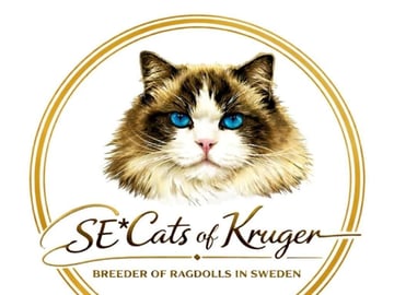 SE*Cats of Kruger
