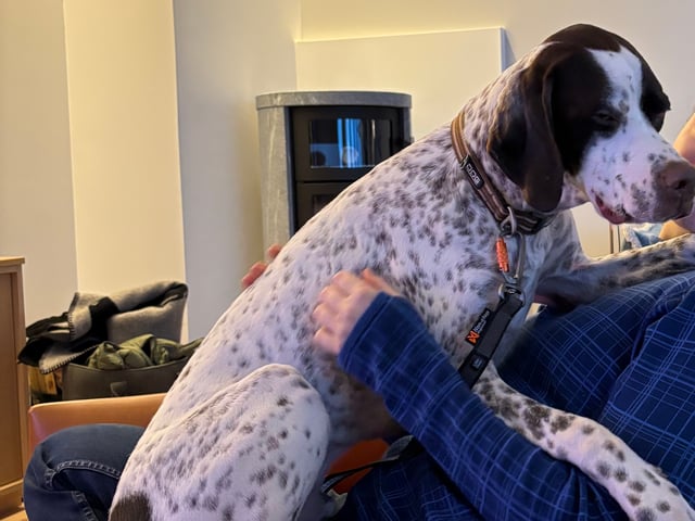 Pointer