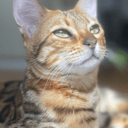 ES