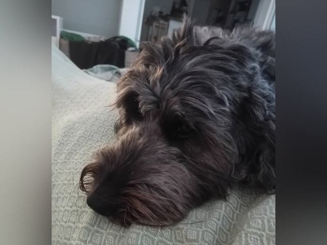 Mor: Lilly