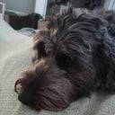 Mor: Lilly