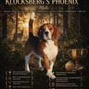 Far: Klocksberg's Phoenix