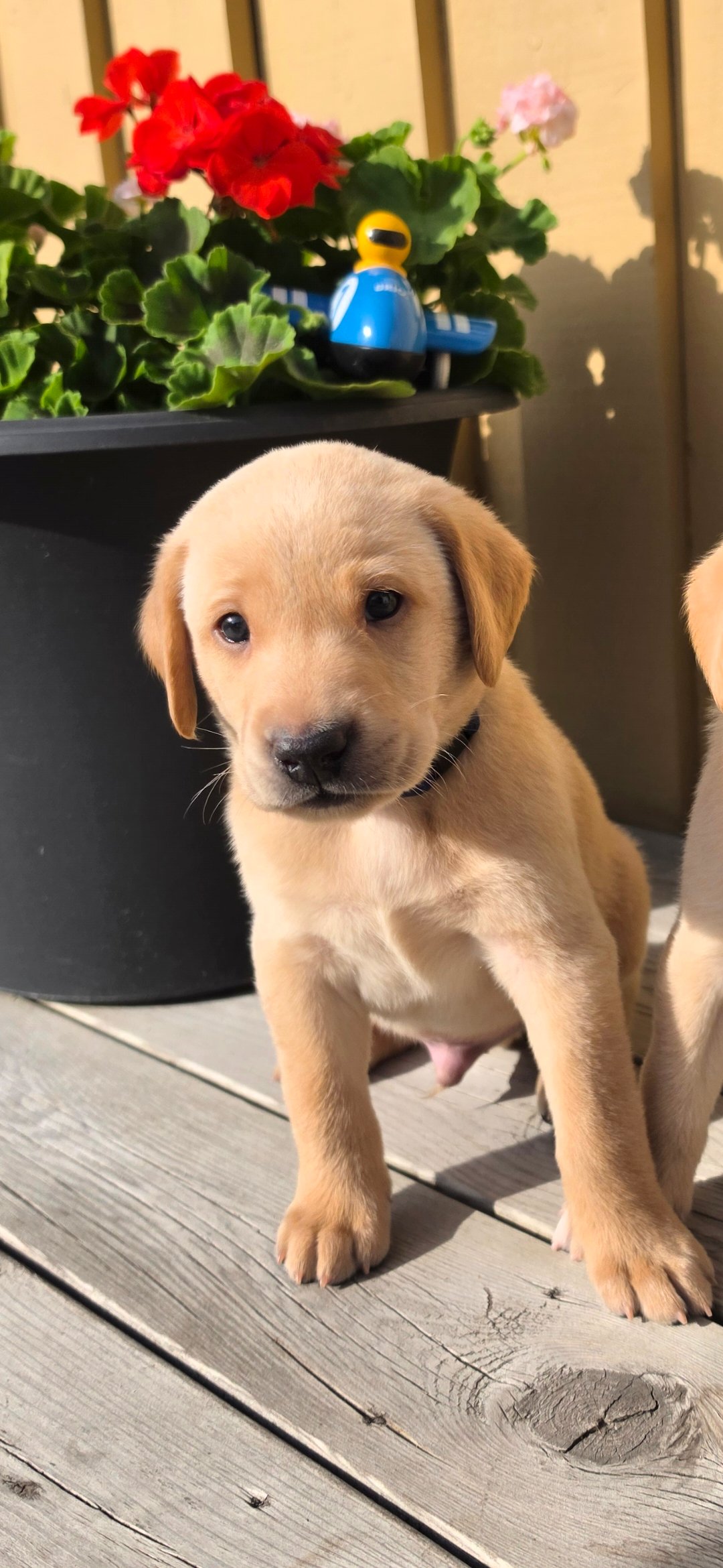 Big Bay