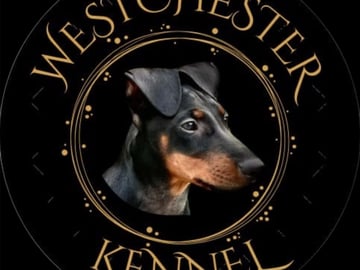 WestChester Kennel