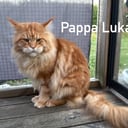 Father: Lukaz