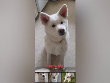 Krayon's kennel