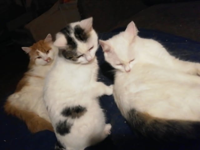 Mother: Bella