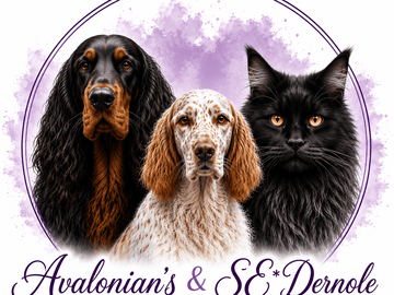 Avalonian’s &Se*Dernole