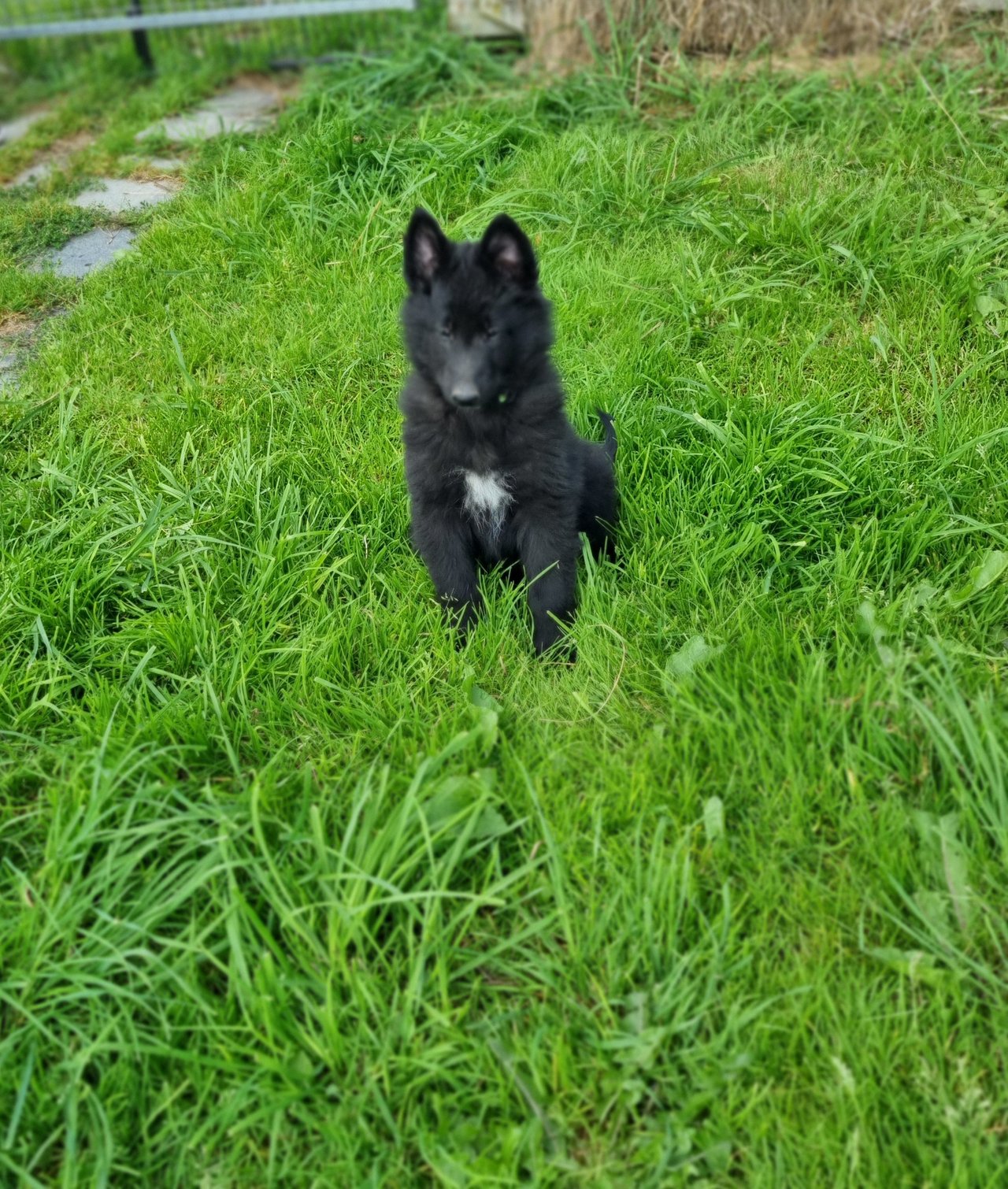 Trening og mosjon