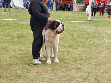 Fredsduvan's Kennel
