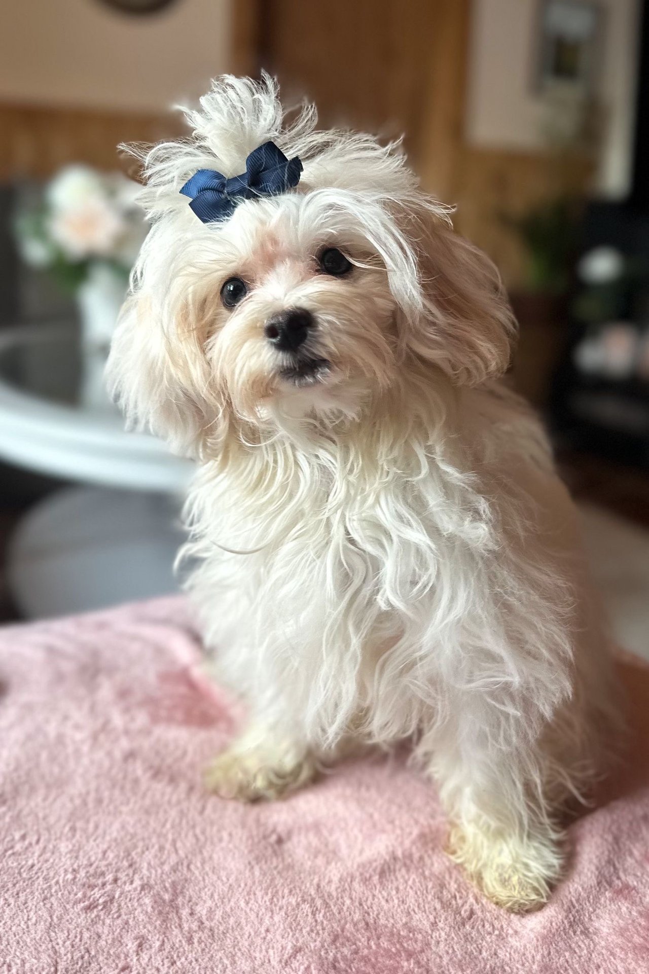 San-Hime