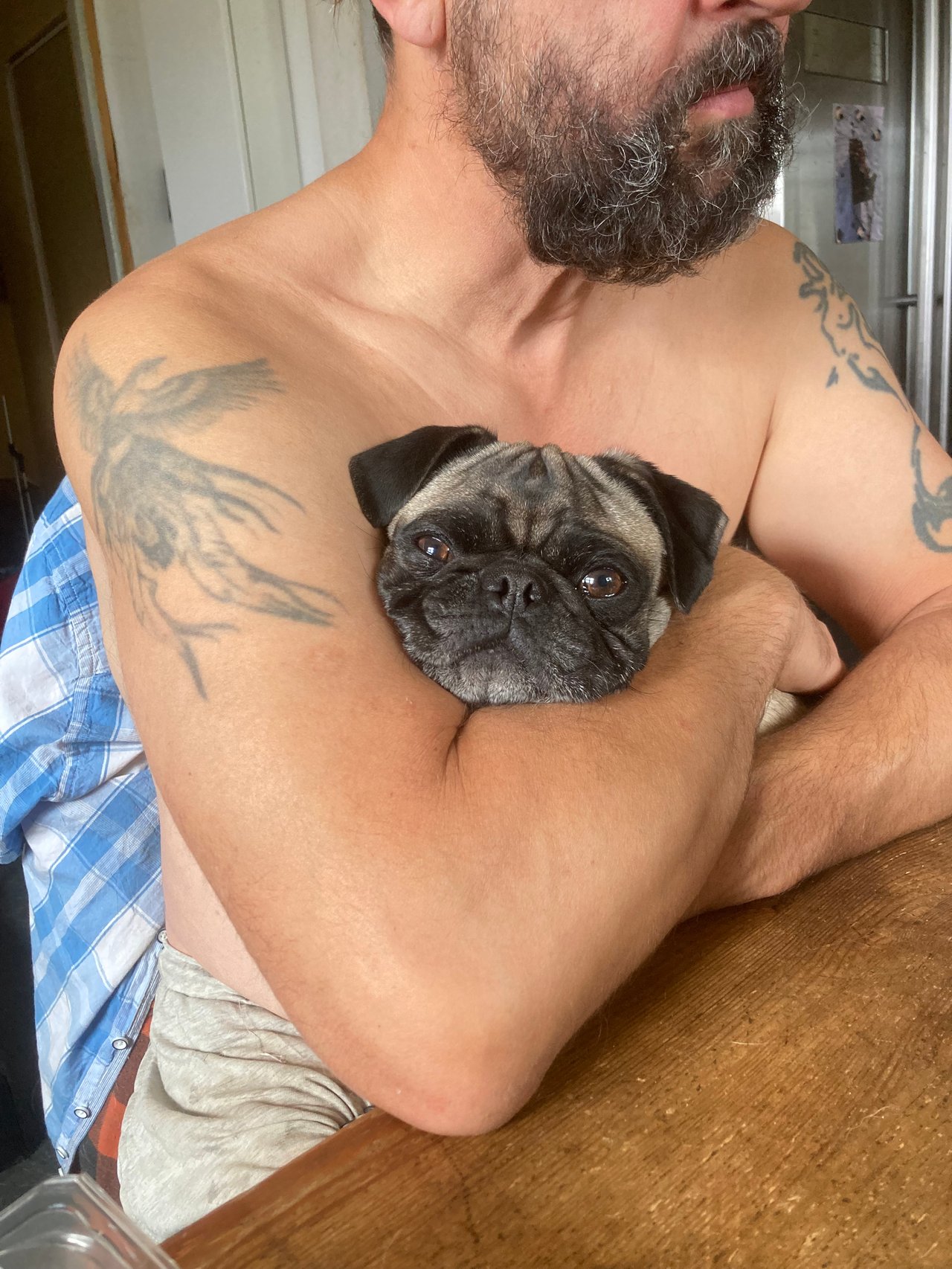 Luckypugs