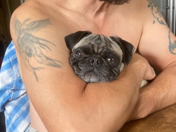 Luckypugs