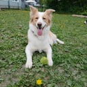 Mor: Mamma Nikki