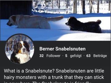 Snabelsnutens Hus