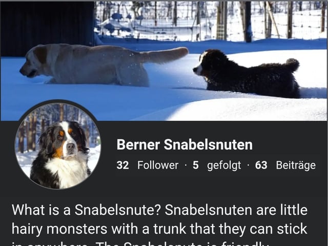 Snabelsnutens Hus