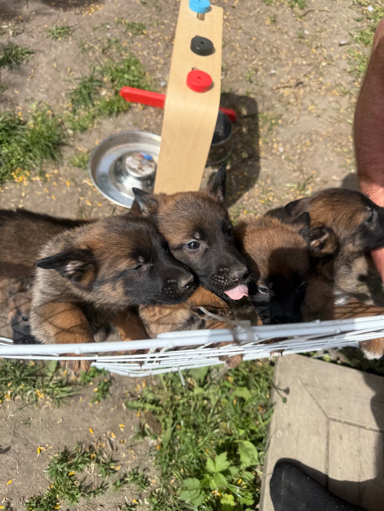 Hälsa