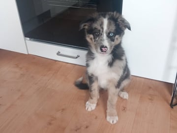 My Sweet Monster