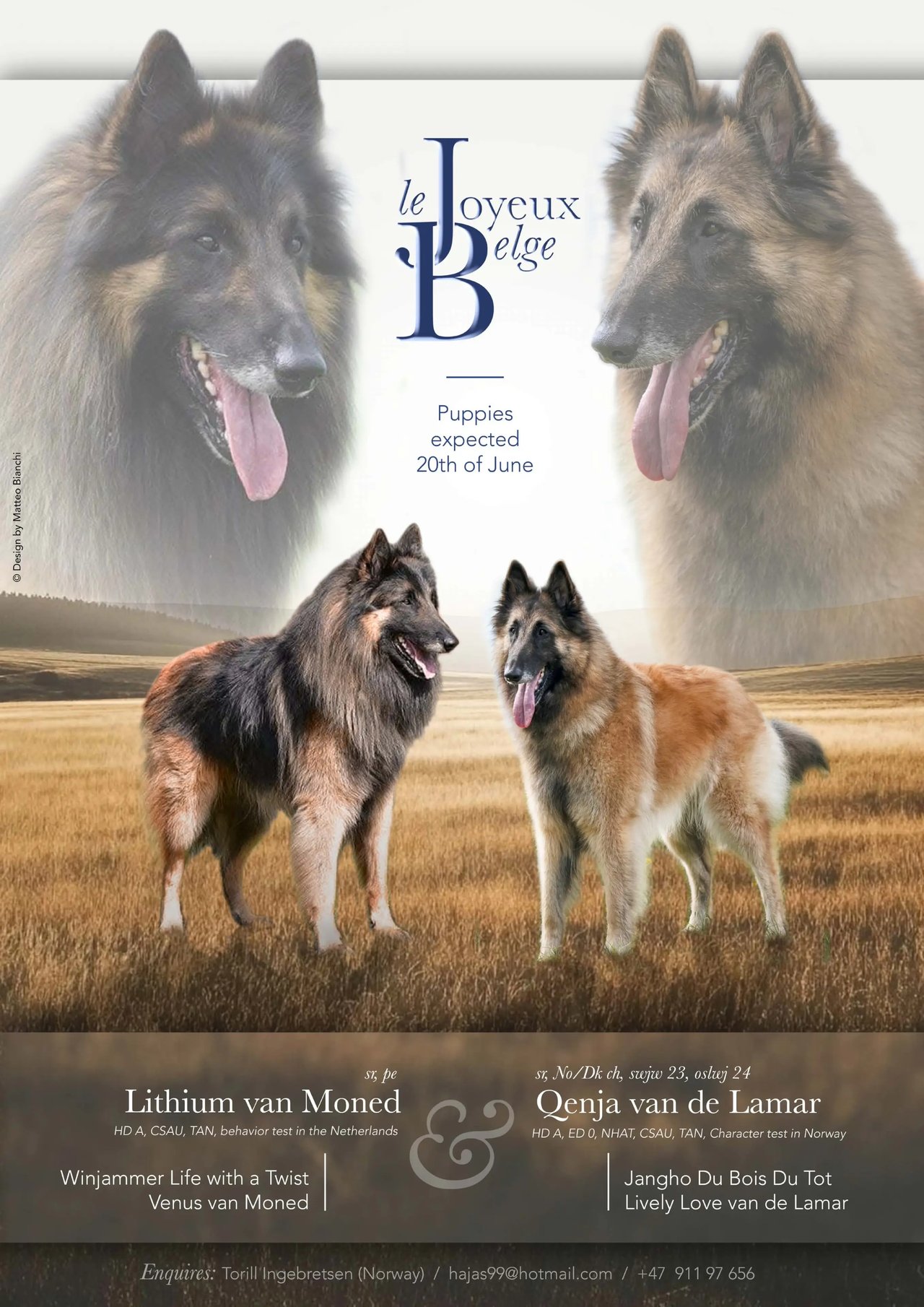Utseende & Päls