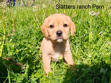Slätters Ranch
