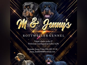 M and Jenny's