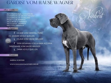 Far: Gardist vom Hause Wagner