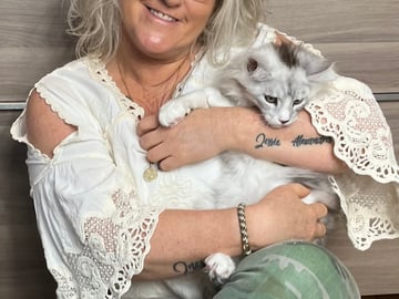 SE*Lilla Kattmakeriet