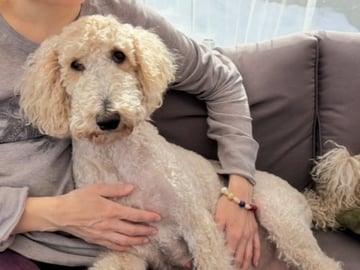 Lundatorpet