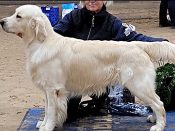 Ekbergarn’s  kennel