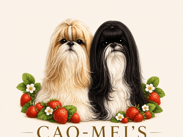 Cao-Mei’s