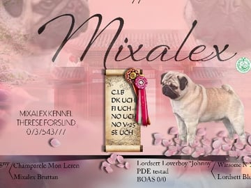 Mixalex