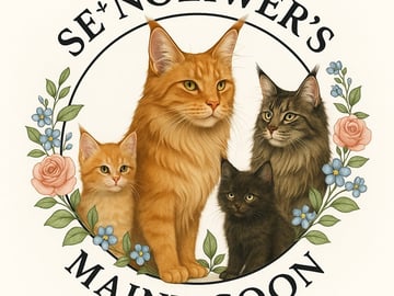 SE*Noliwer's