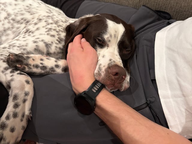 Pointer