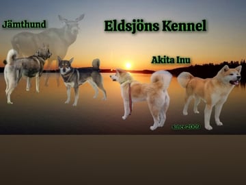 Eldsjöns Kennel