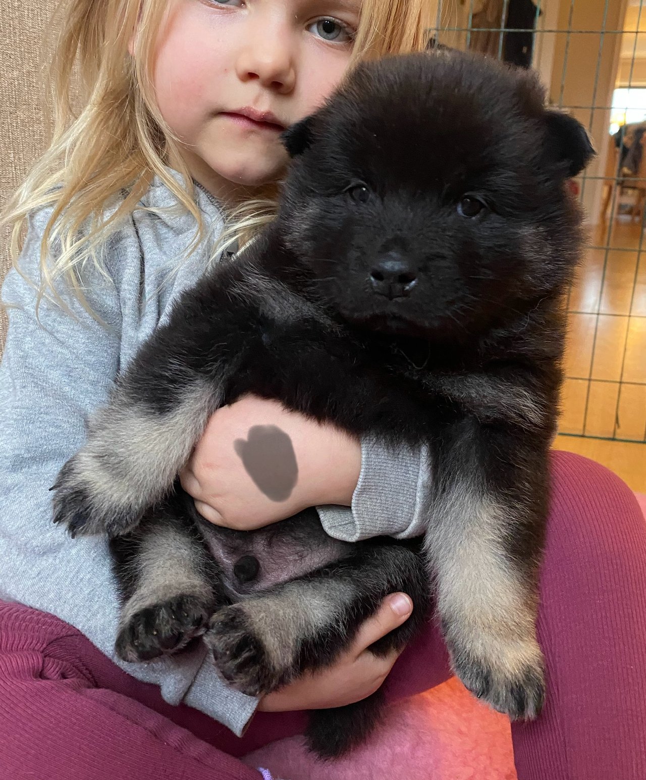 Temperament och personlighet