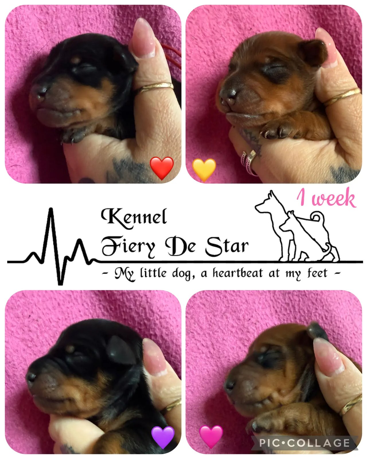 Fiery De Star