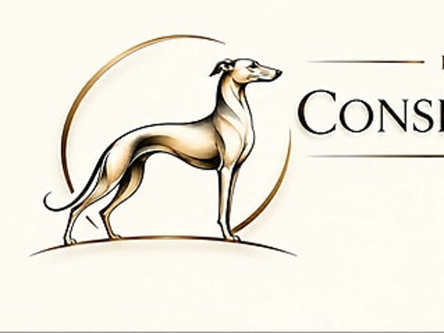 Whippet · Oslo · Lill Tonje Johansen Ristvedt