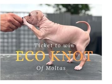 Ticket to win