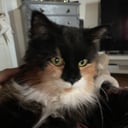 Mor: Sally