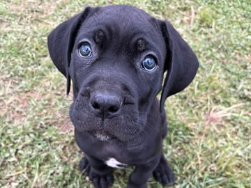 Skye
