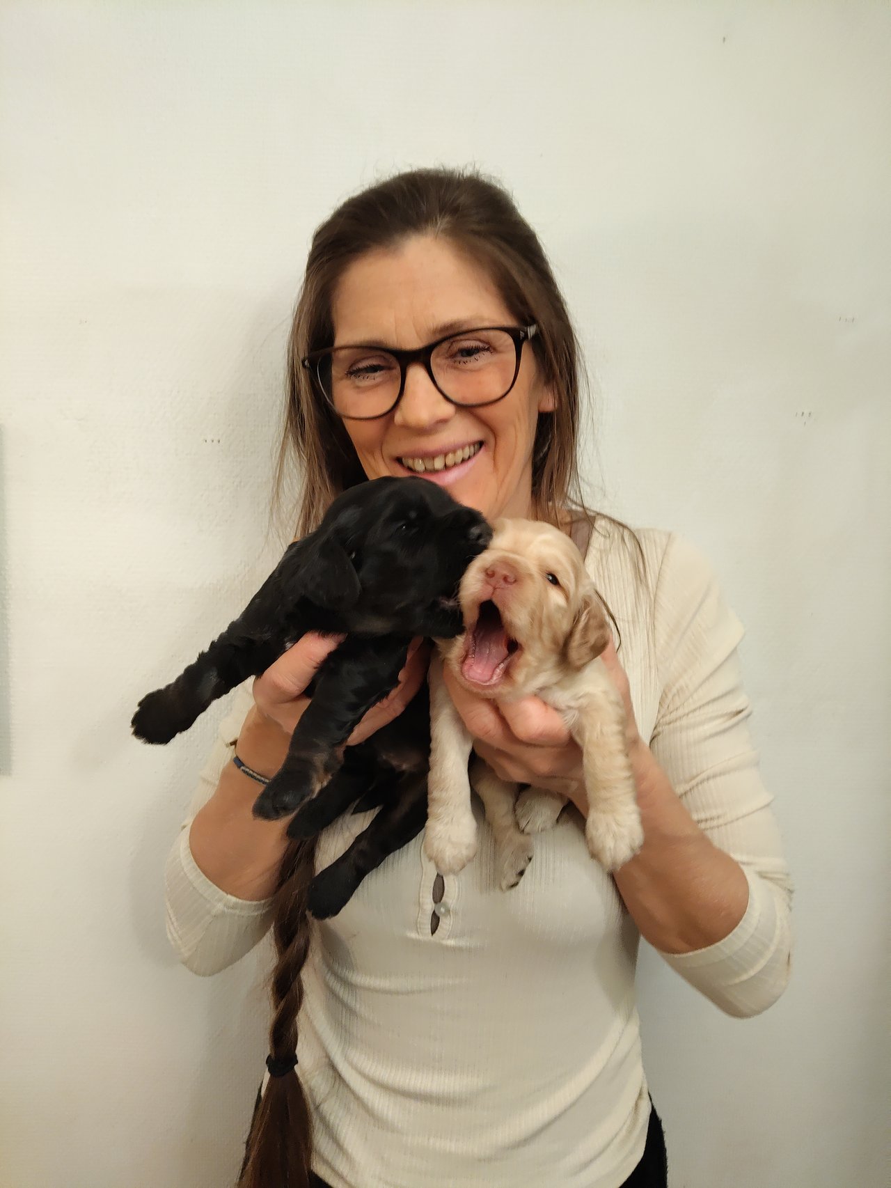 Babsan hund och kattklipp , babsans cockerpoo