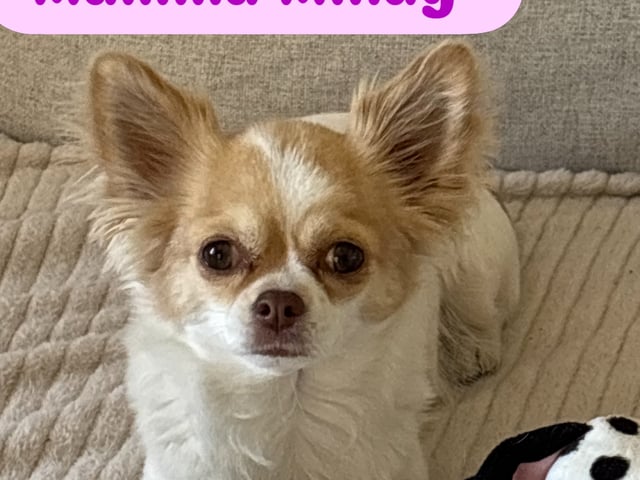 Mother: MINDY