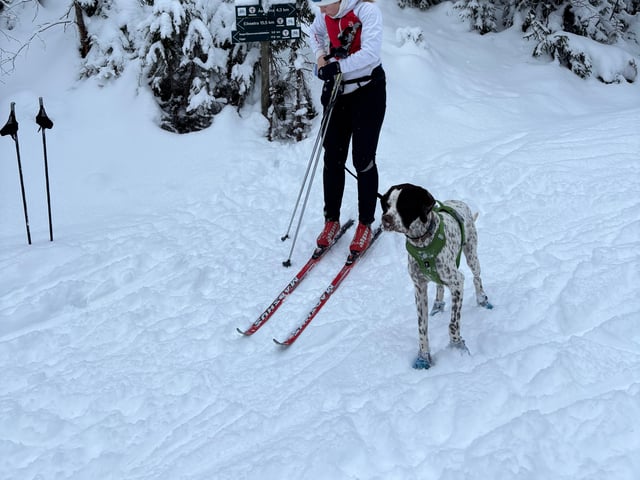 Pointer