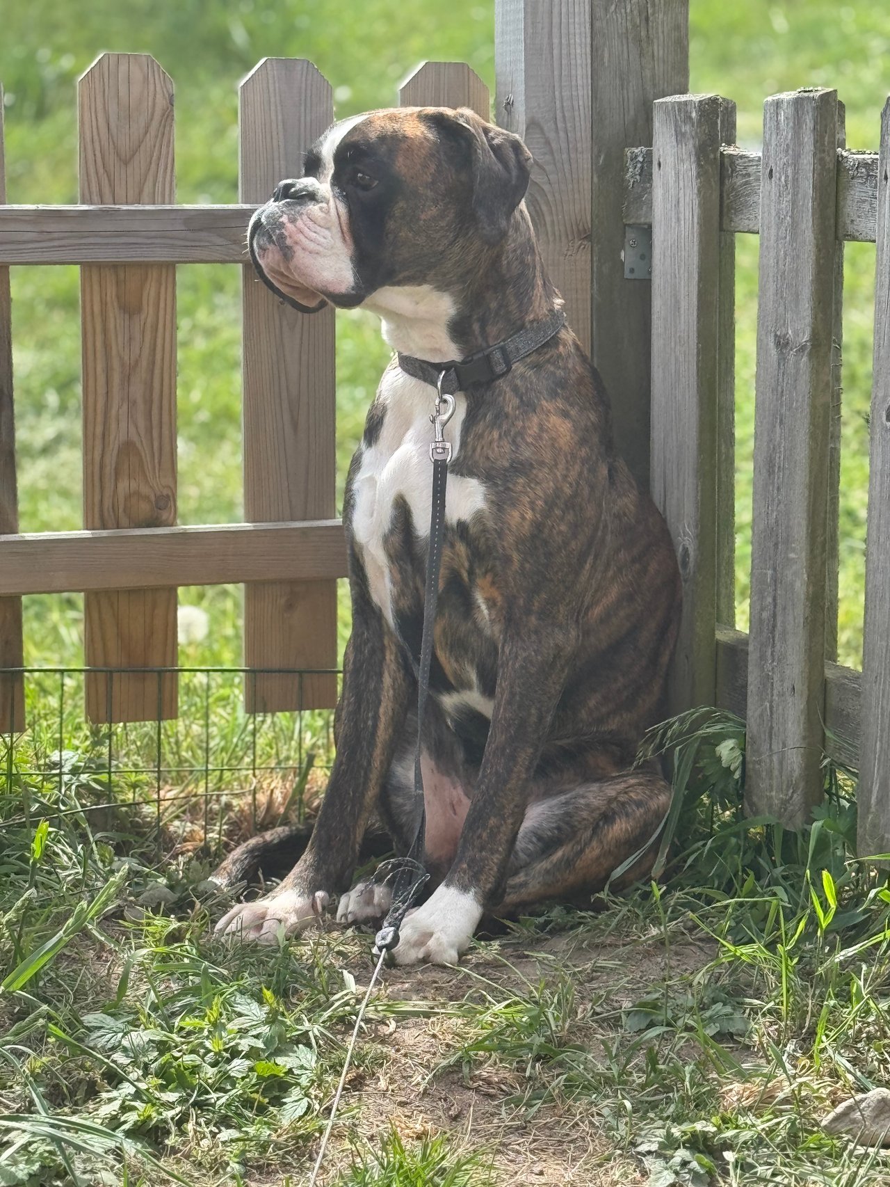 Träning och motion