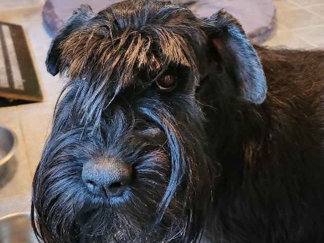 Bo Bjerregaard