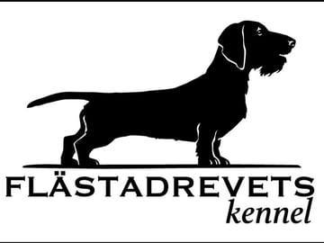 Flästadrevets