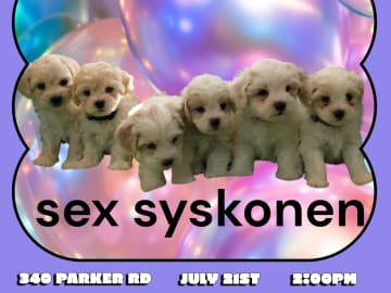 Söta valpar