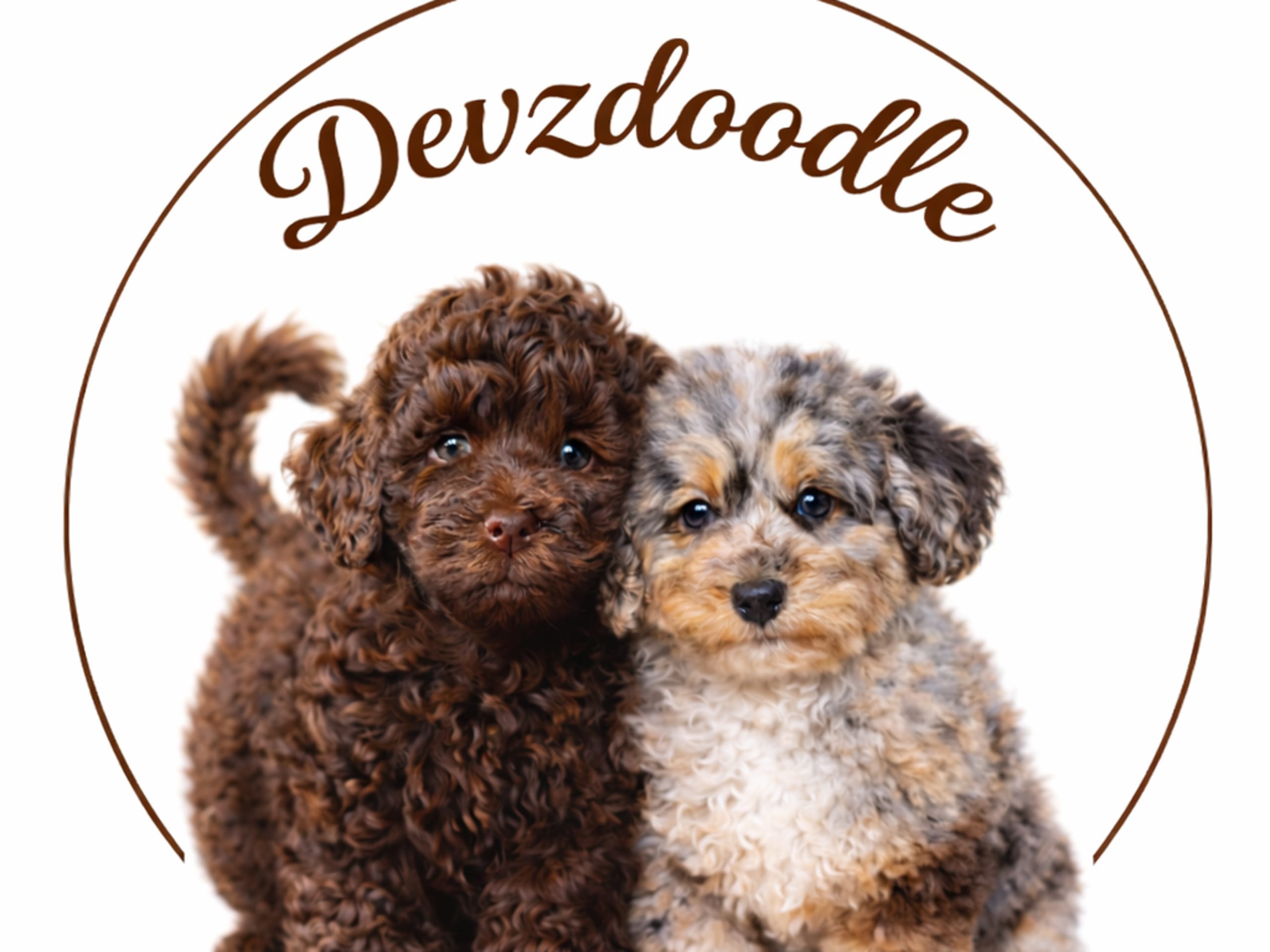 Devzdoodle