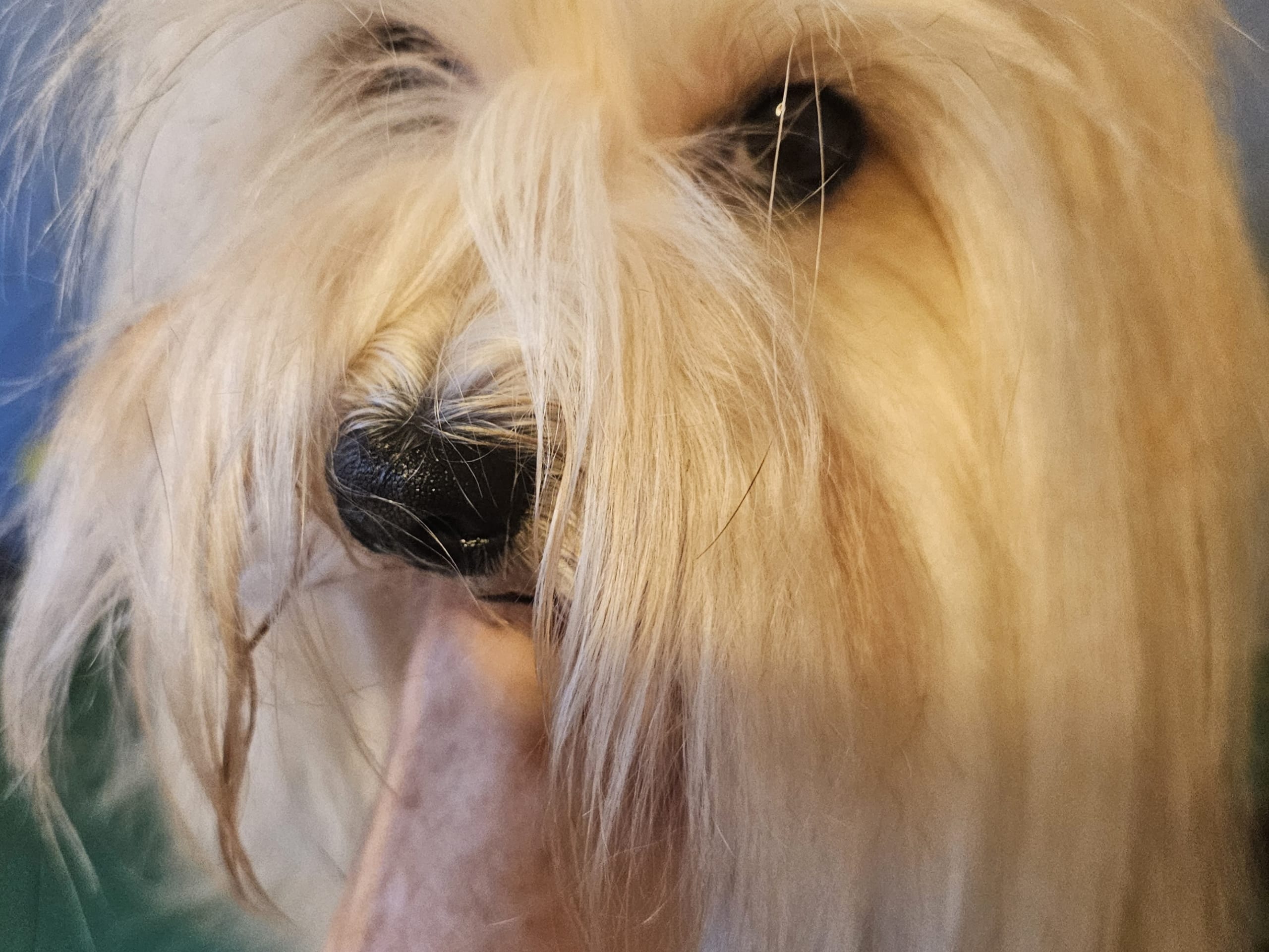 Sirlens