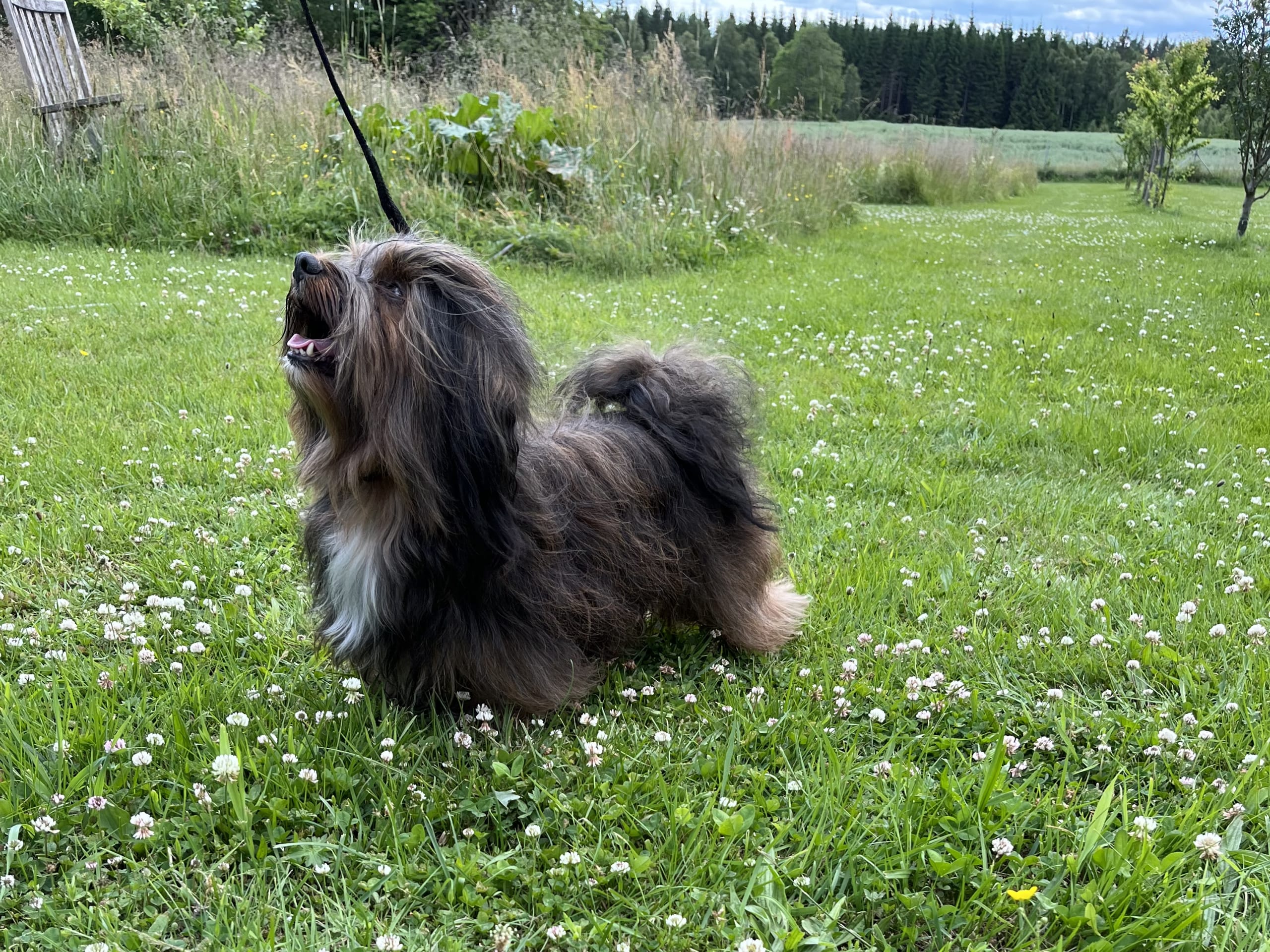 Kronan på verket